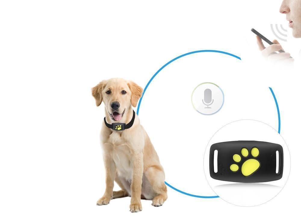 Rastreador GPS para Gatos – Seguimiento en Tiempo Real Sin Suscripción