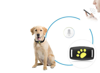 Rastreador GPS para Gatos – Seguimiento en Tiempo Real Sin Suscripción