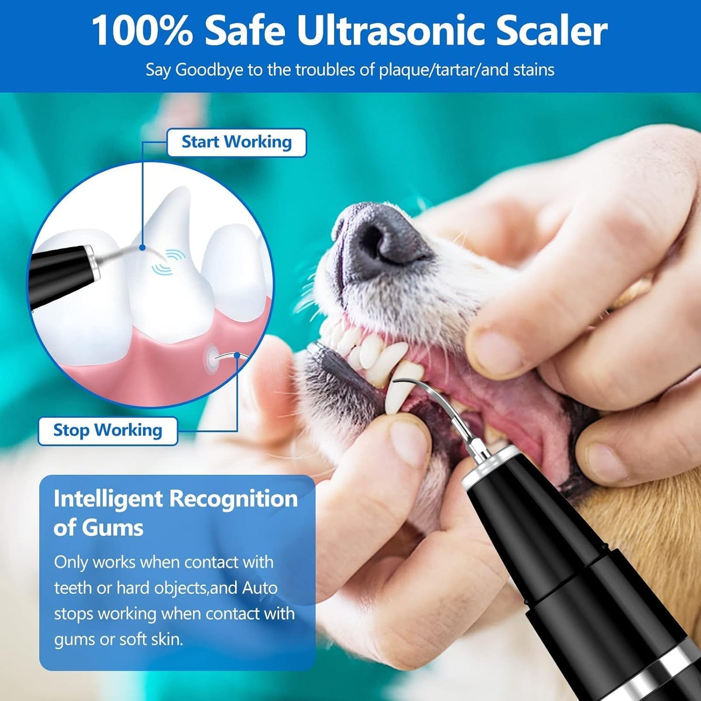 Removedor de Tártaro para Mascotas - Limpiador de Dientes Ultrasónico