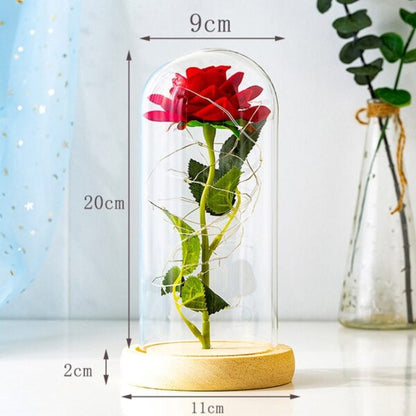 Rosa Eterna LED