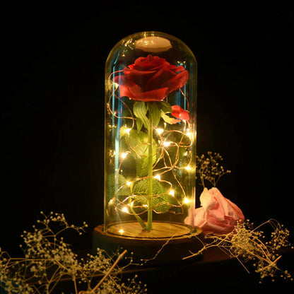 Rosa Eterna LED