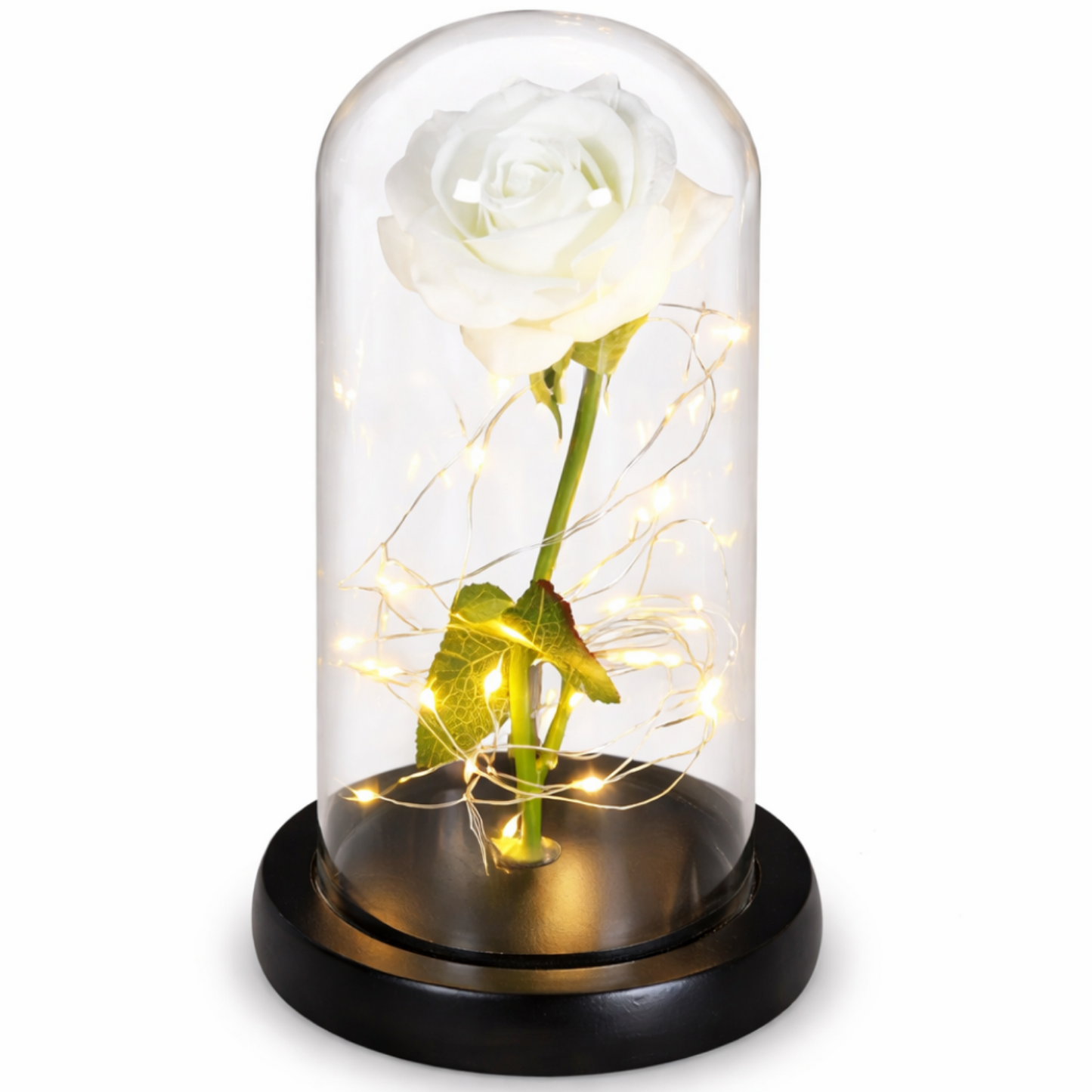 Rosa Eterna LED