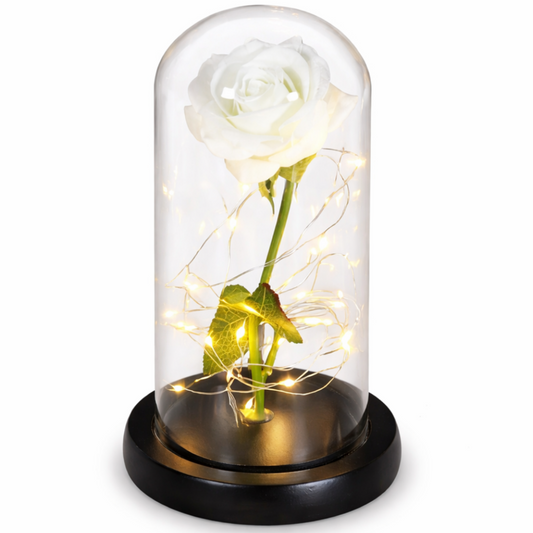 Rosa Eterna LED