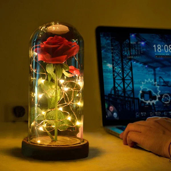 Rosa Eterna LED