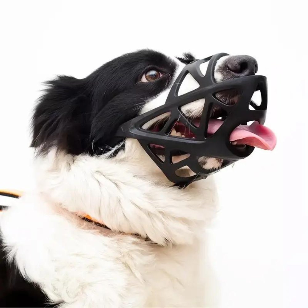 SafeBark • Bozal para Perros