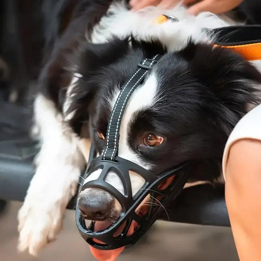 SafeBark • Bozal para Perros