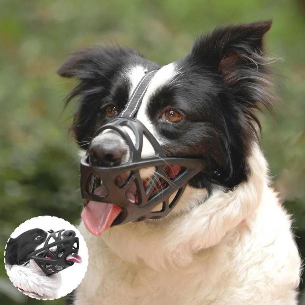 SafeBark • Bozal para Perros
