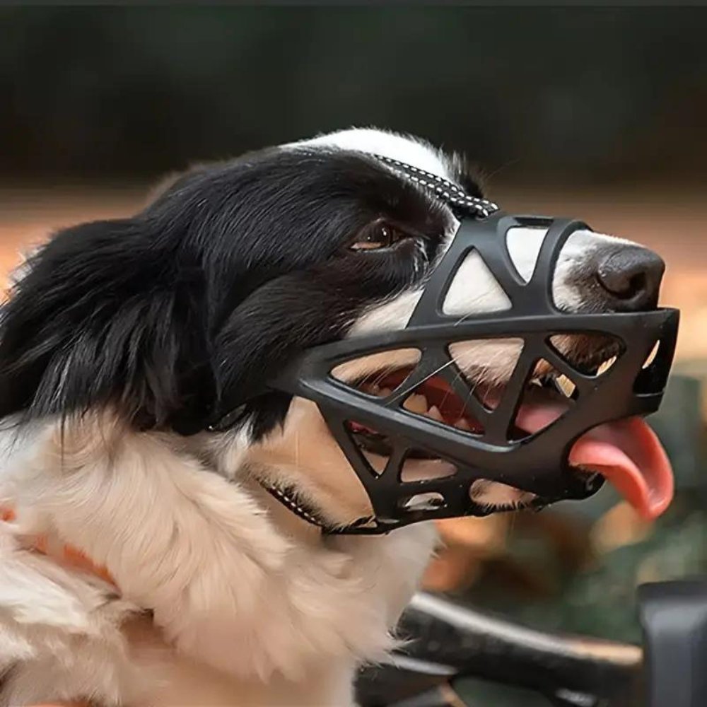 SafeBark • Bozal para Perros