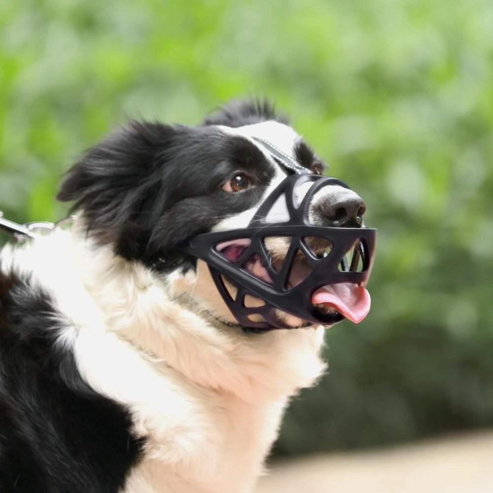 SafeBark • Bozal para Perros