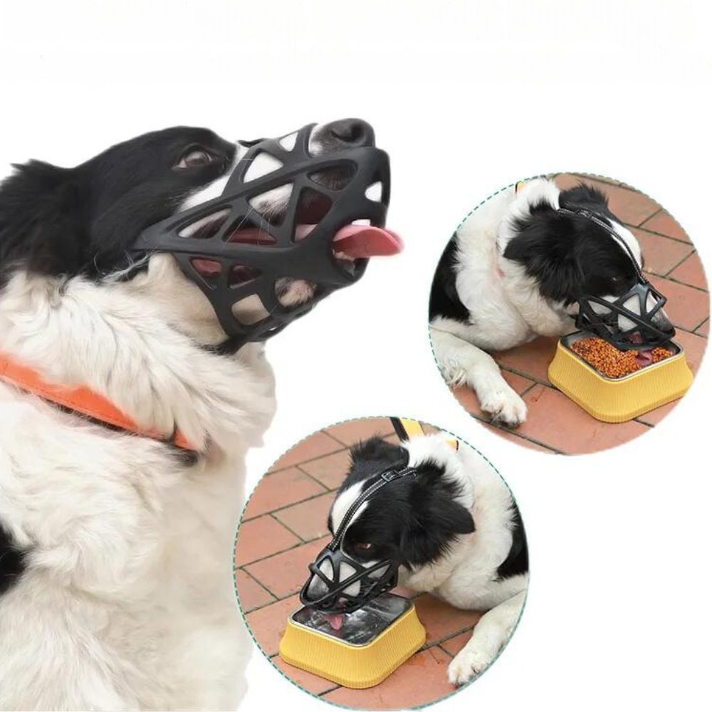 SafeBark • Bozal para Perros