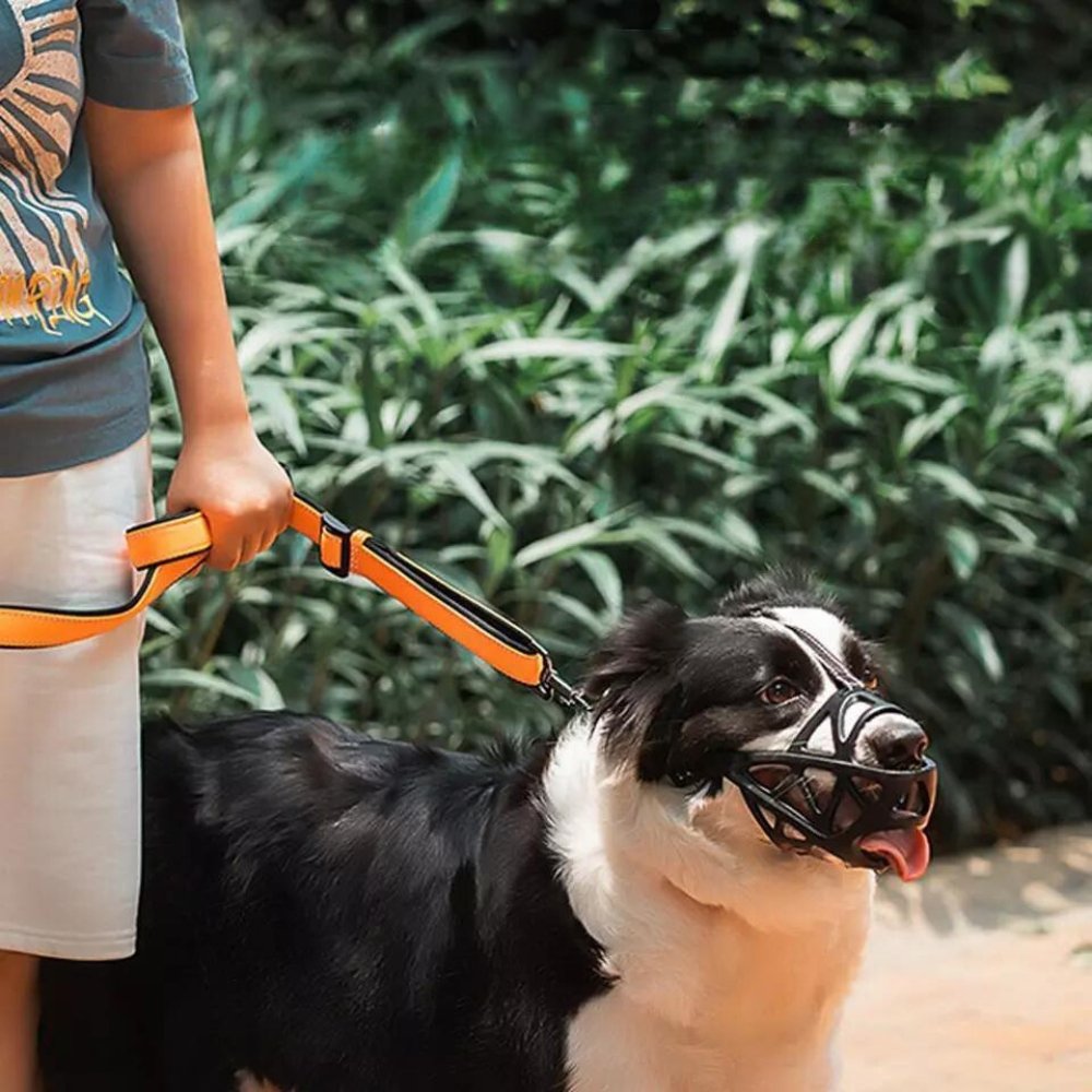 SafeBark • Bozal para Perros