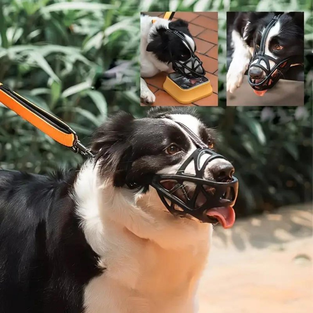 SafeBark • Bozal para Perros