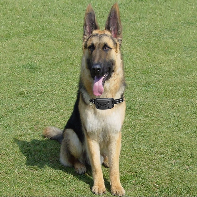 Sistema de Cerca Inalámbrica para Perros FidoFence Pro con Collar, 9–240m