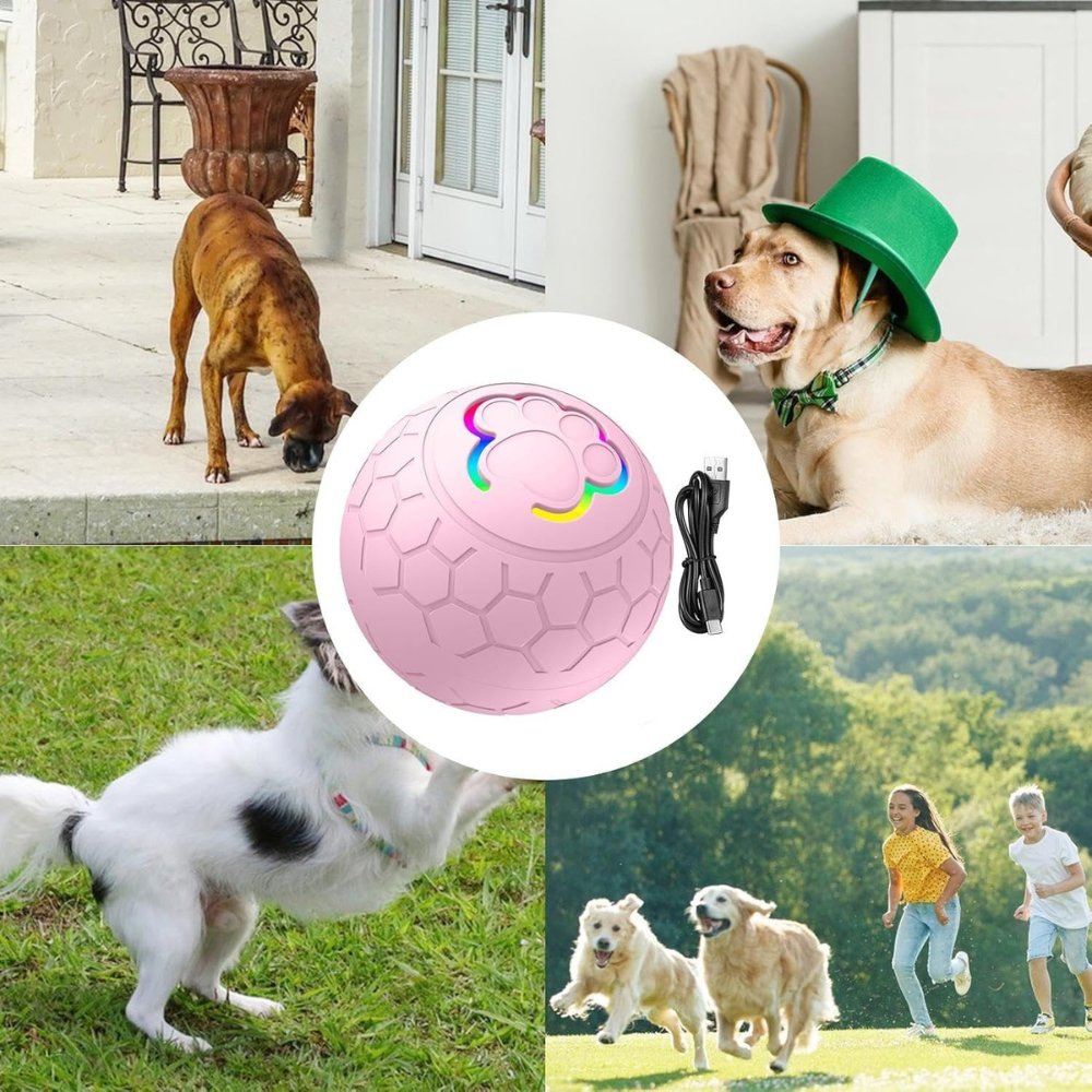 SmartBounce • Pelota de Juguete para Perros