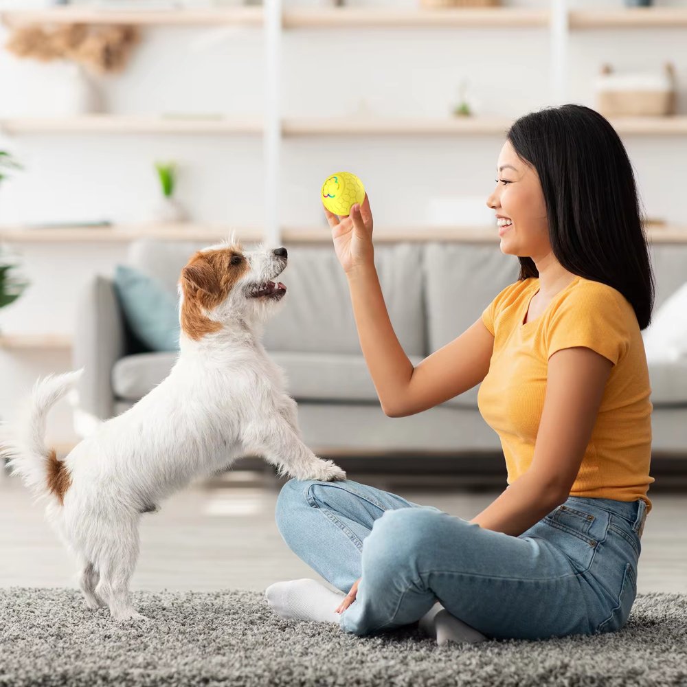 SmartBounce • Pelota de Juguete para Perros