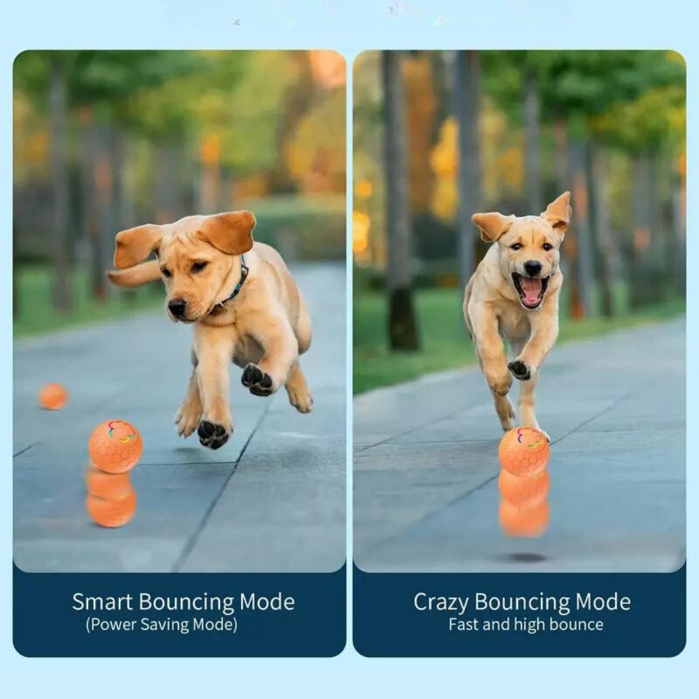SmartBounce • Pelota de Juguete para Perros