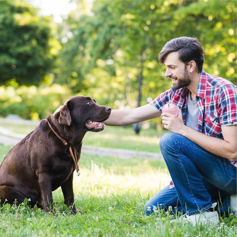 SmartBounce • Pelota de Juguete para Perros
