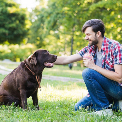 SmartBounce • Pelota de Juguete para Perros