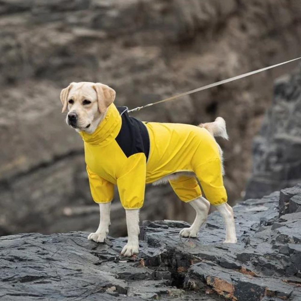 StormGuard • Abrigo Impermeable para Perros