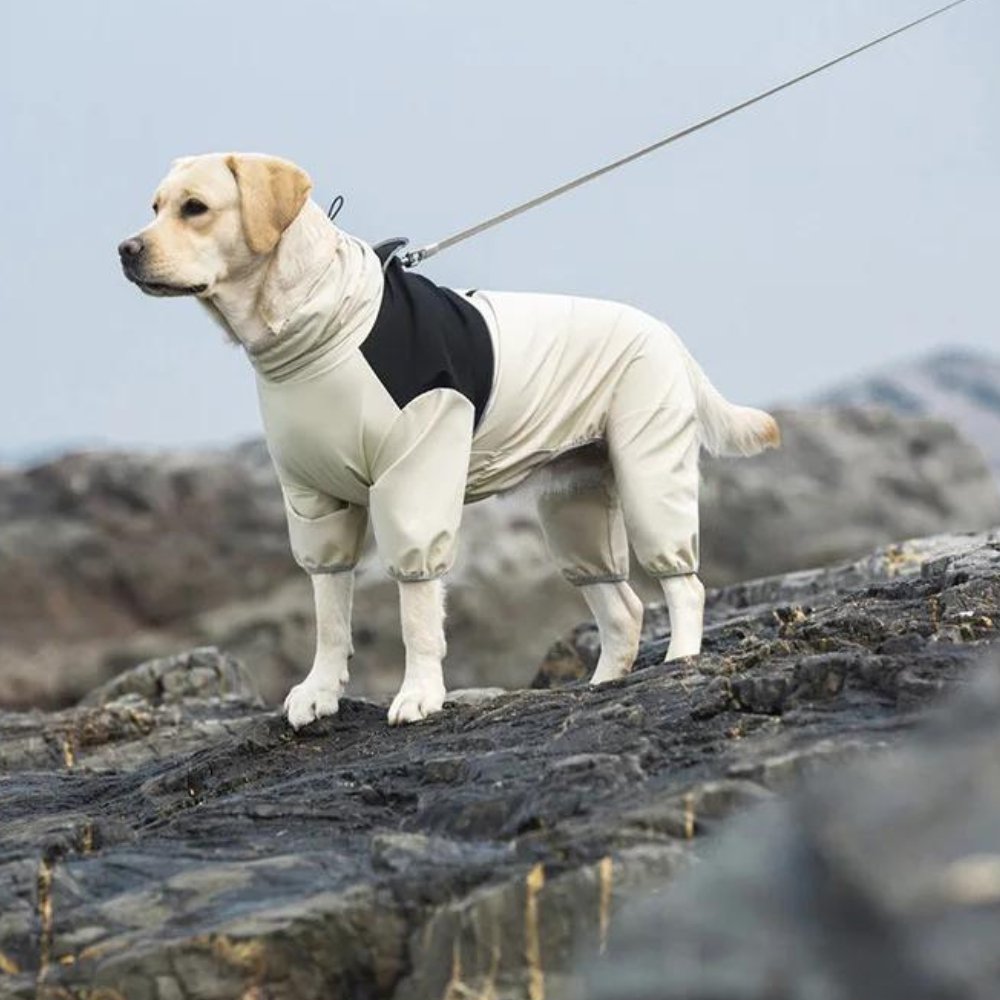 StormGuard • Abrigo Impermeable para Perros