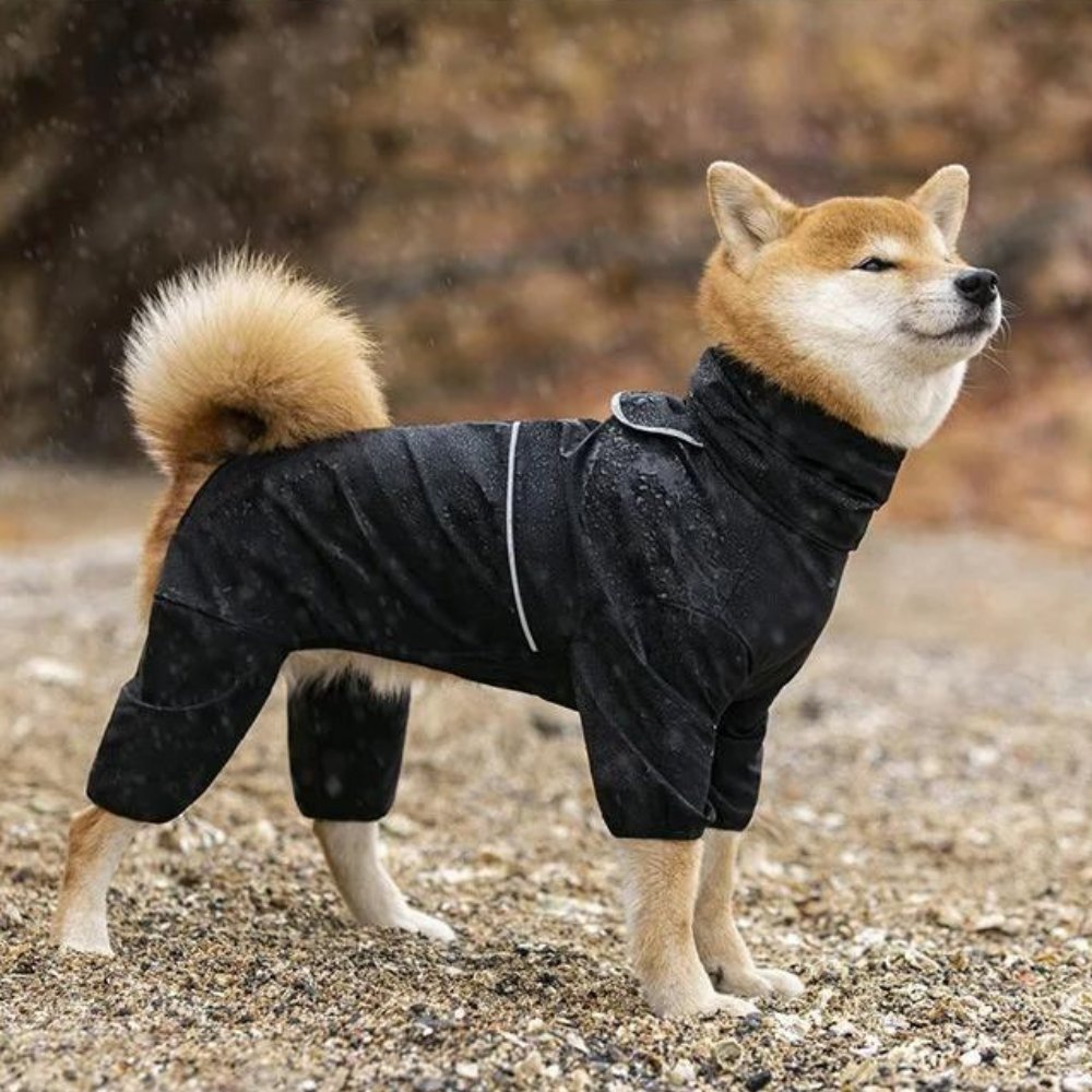 StormGuard • Abrigo Impermeable para Perros