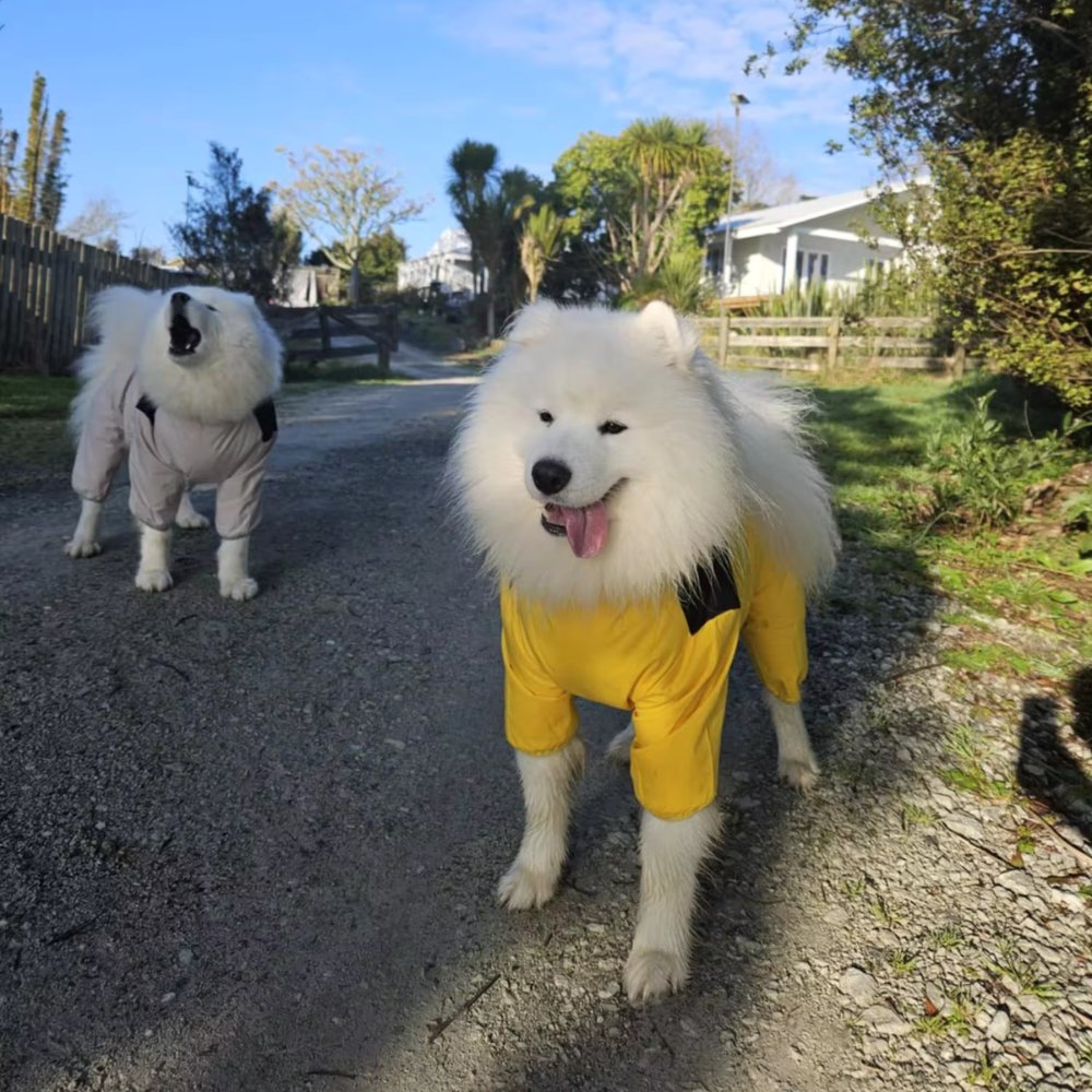 StormGuard • Abrigo Impermeable para Perros