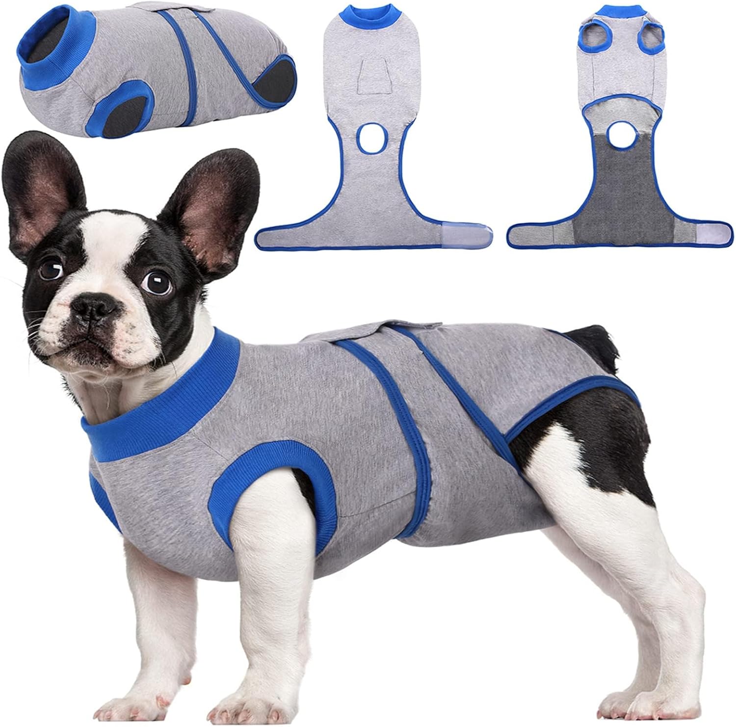 Traje de Recuperación Rápida para Mascotas – Sanación Después de la Cirugía