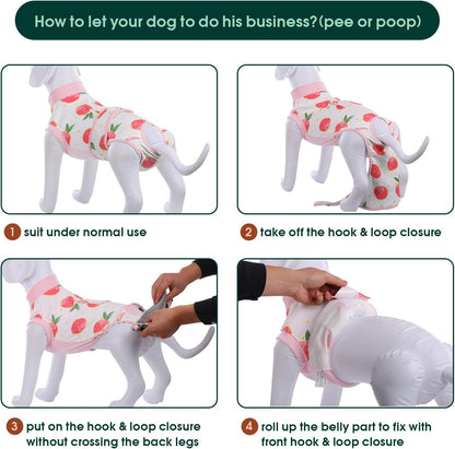 Traje de Recuperación Rápida para Mascotas – Sanación Después de la Cirugía