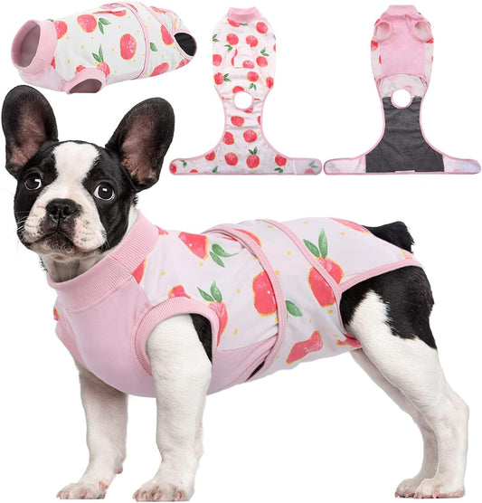 Traje de Recuperación Rápida para Mascotas – Sanación Después de la Cirugía