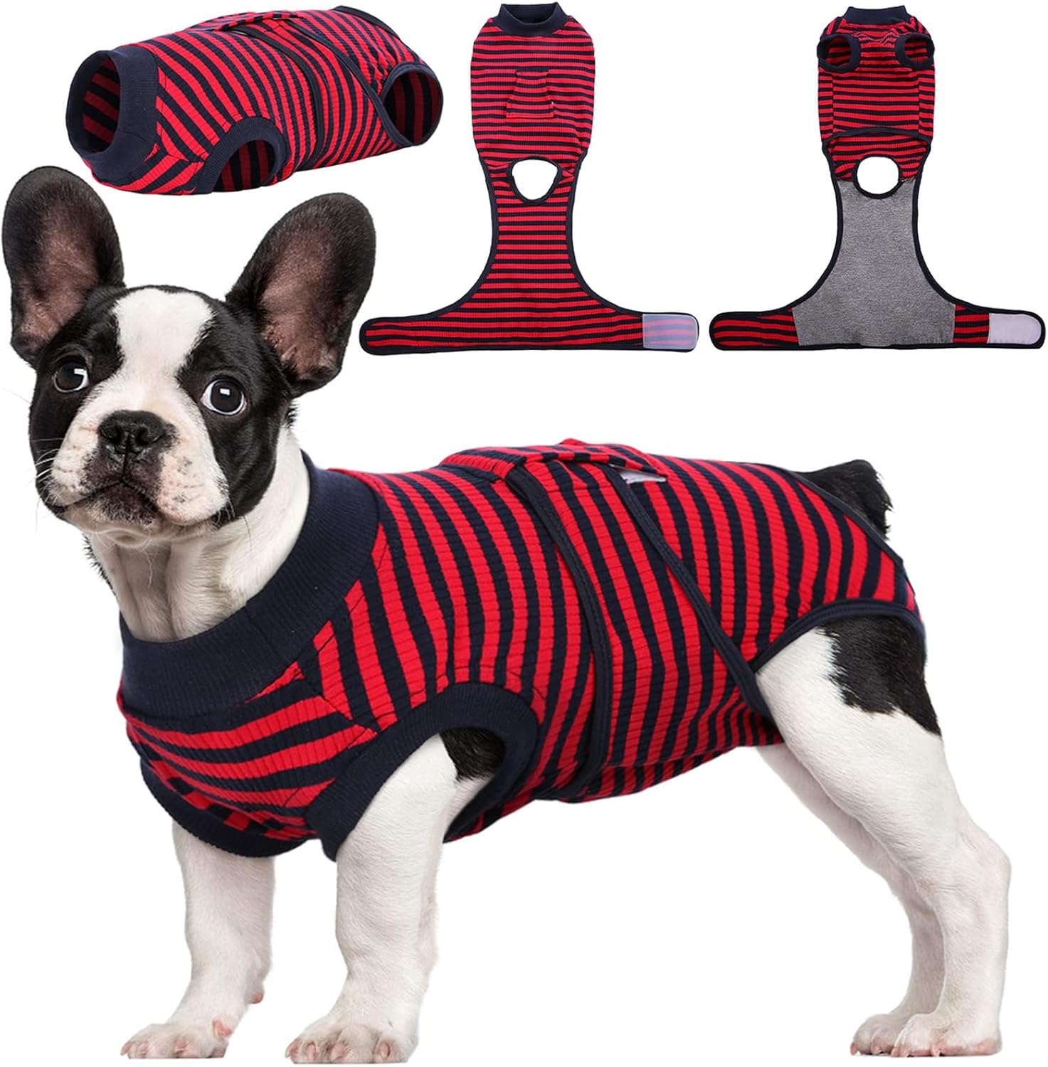 Traje de Recuperación Rápida para Mascotas – Sanación Después de la Cirugía