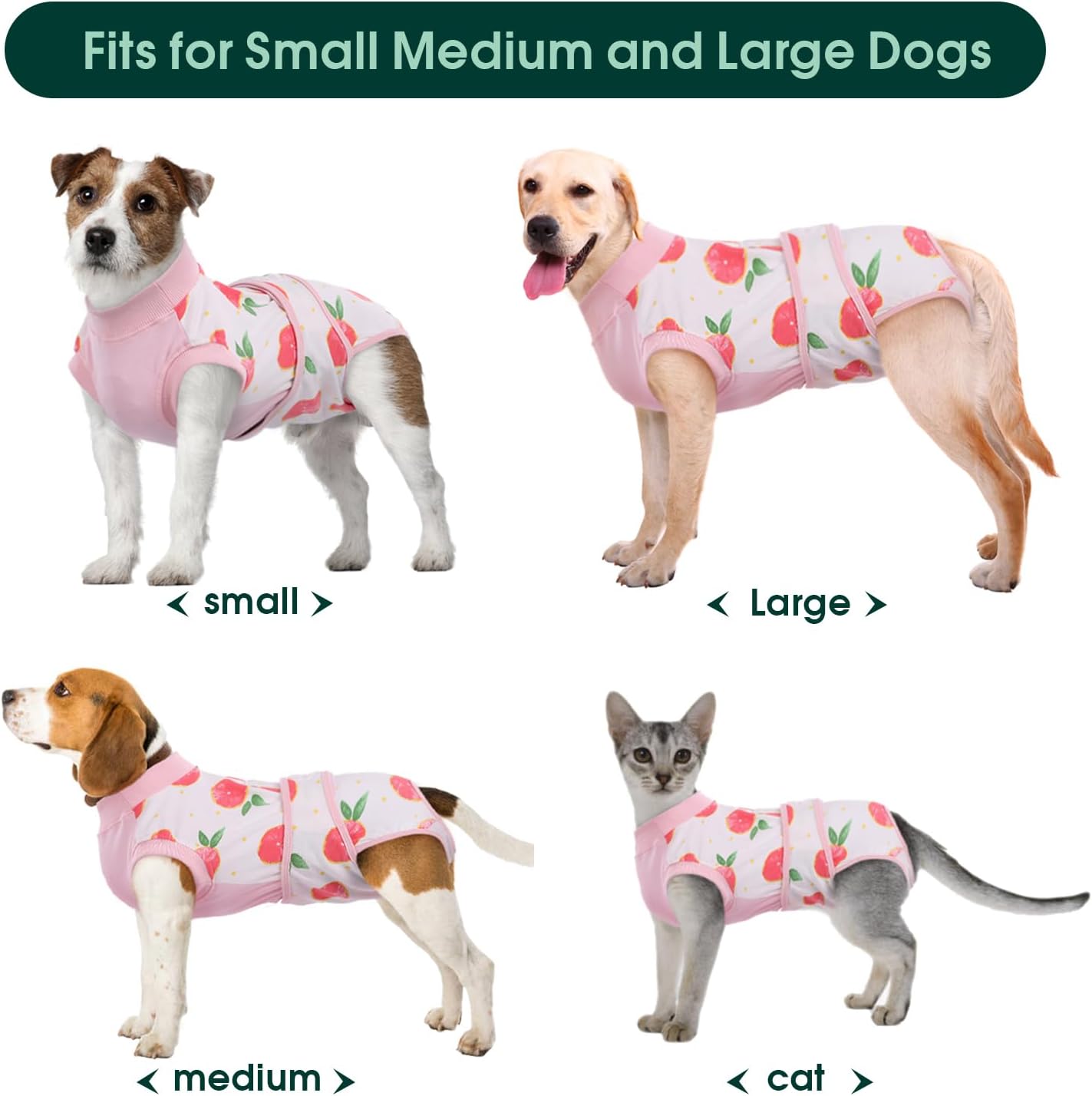 Traje de Recuperación Rápida para Mascotas – Sanación Después de la Cirugía