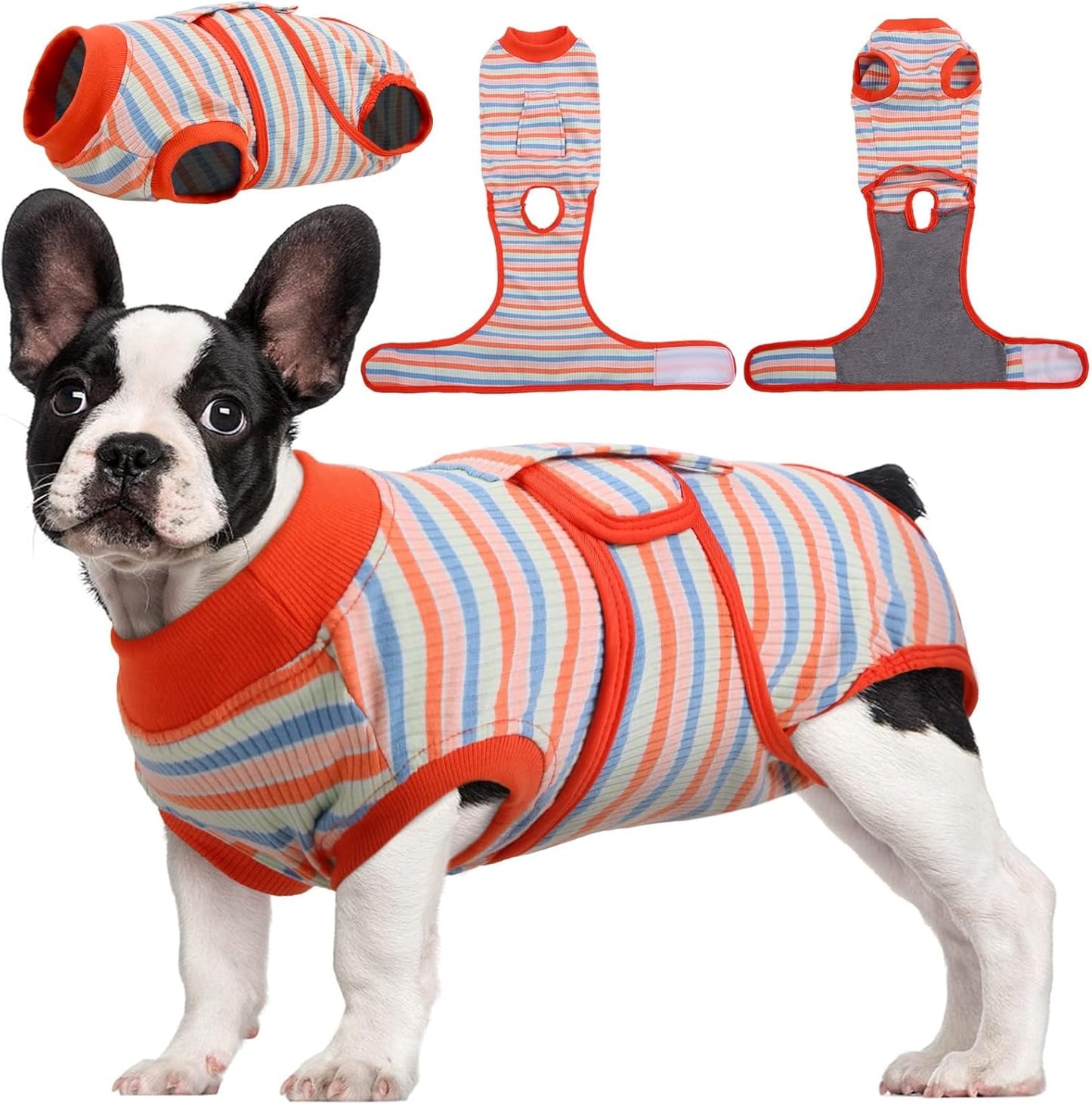 Traje de Recuperación Rápida para Mascotas – Sanación Después de la Cirugía