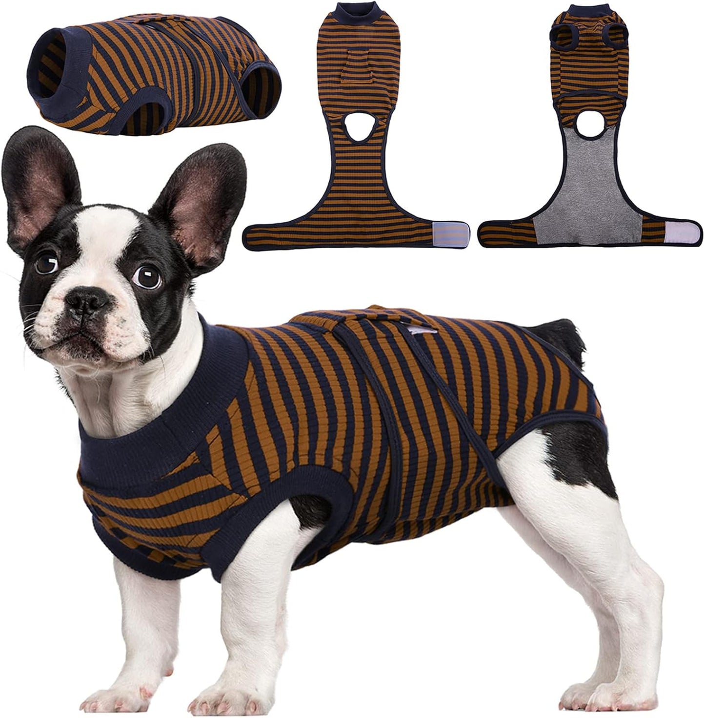 Traje de Recuperación Rápida para Mascotas – Sanación Después de la Cirugía