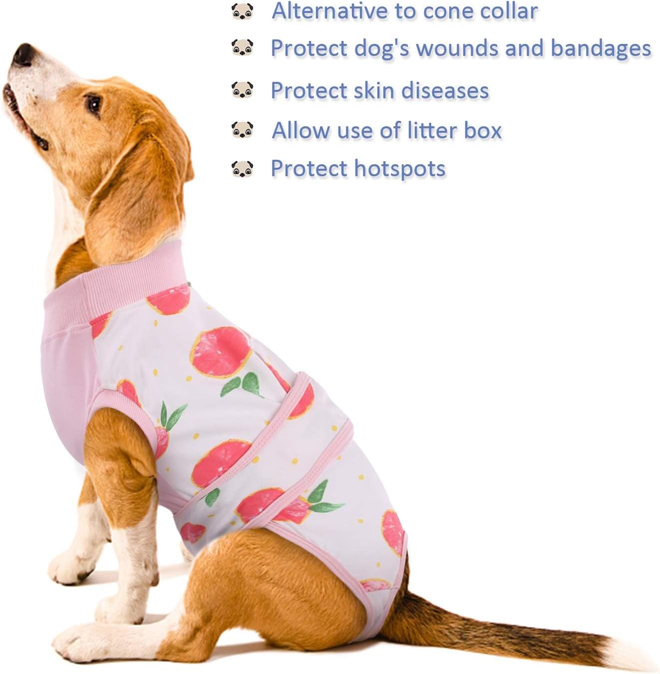 Traje de Recuperación Rápida para Mascotas – Sanación Después de la Cirugía