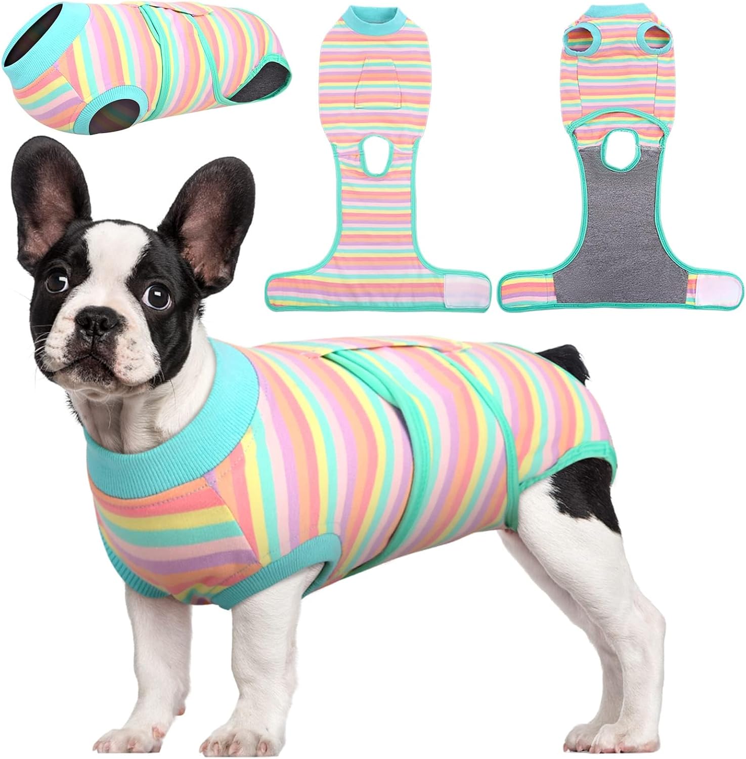 Traje de Recuperación Rápida para Mascotas – Sanación Después de la Cirugía