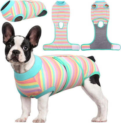 Traje de Recuperación Rápida para Mascotas – Sanación Después de la Cirugía