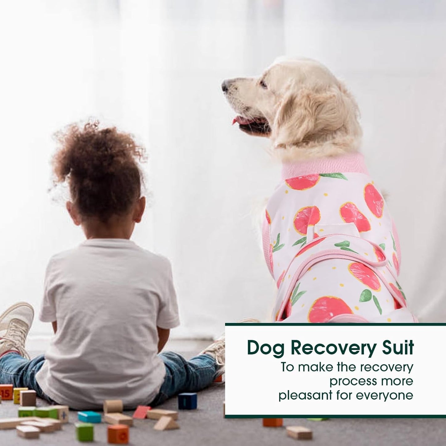 Traje de Recuperación Rápida para Mascotas – Sanación Después de la Cirugía