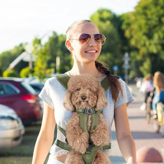 Transportín para Perros de Hombro