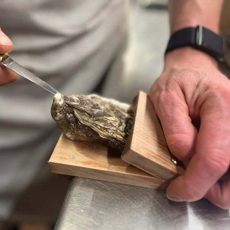 VierraSol | Abreostras de Mango de Madera Premium