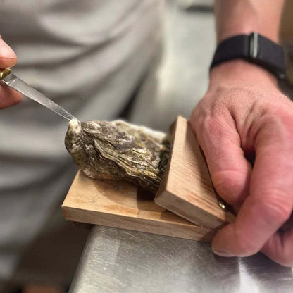 VierraSol | Abreostras de Mango de Madera Premium