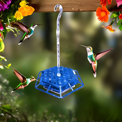 VierraSol | Alimentador de Colibríes con Moat Antibacteriano Incorporado