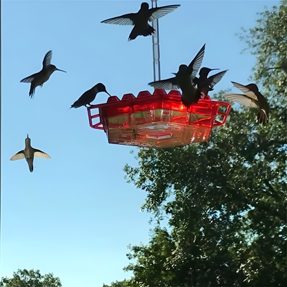 VierraSol | Alimentador de Colibríes con Moat Antibacteriano Incorporado