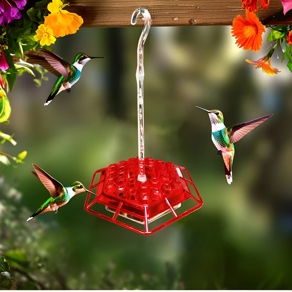VierraSol | Alimentador de Colibríes con Moat Antibacteriano Incorporado