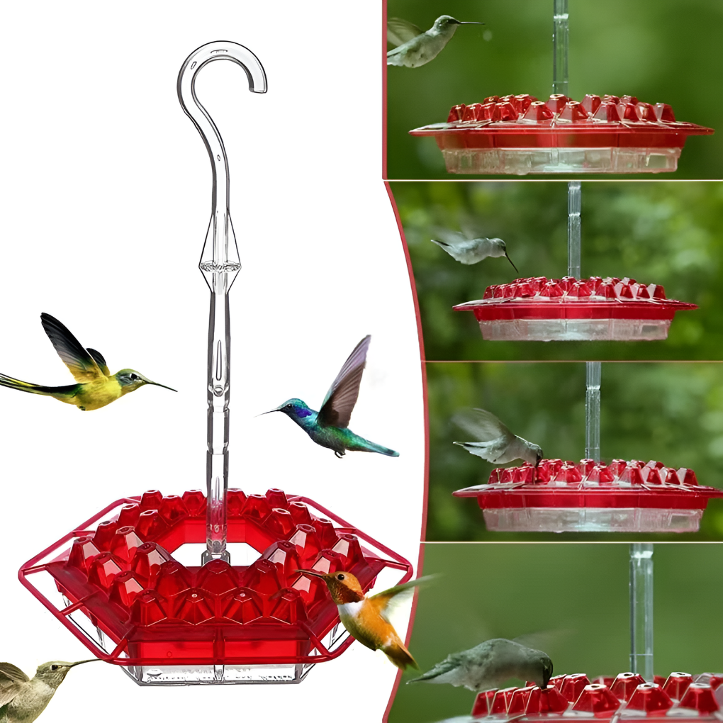 VierraSol | Alimentador de Colibríes con Moat Antibacteriano Incorporado
