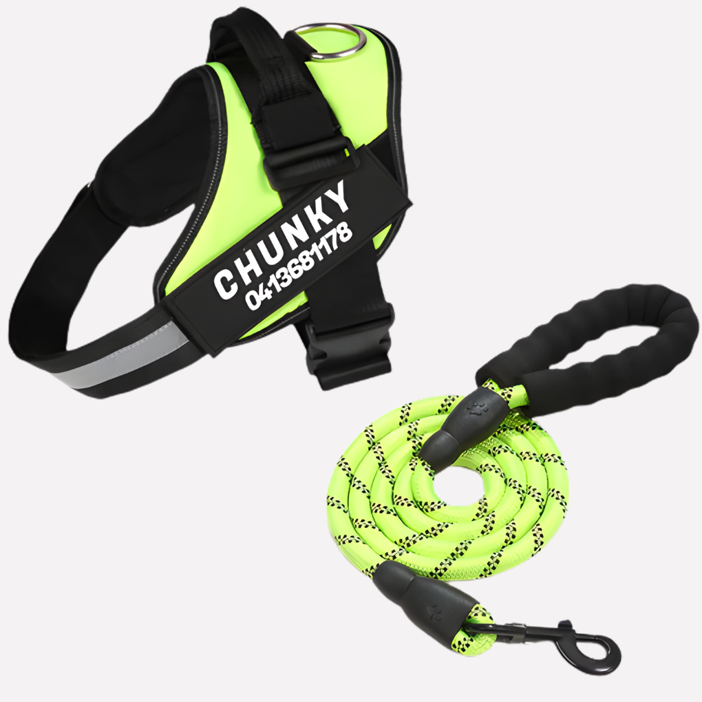 VierraSol | Arnés Antitirones Personalizable para Perros con Clip Frontal