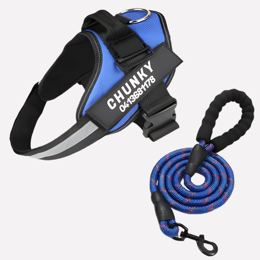 VierraSol | Arnés Antitirones Personalizable para Perros con Clip Frontal