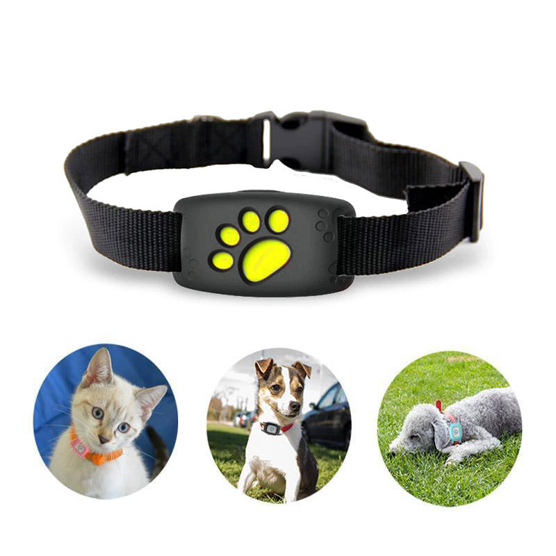 VierraSol | Arnés GPS para Gatos