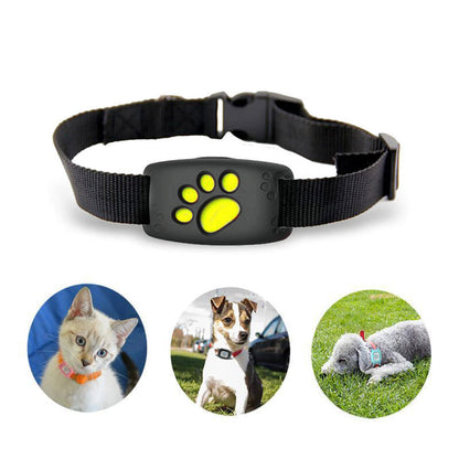VierraSol | Arnés GPS para Gatos