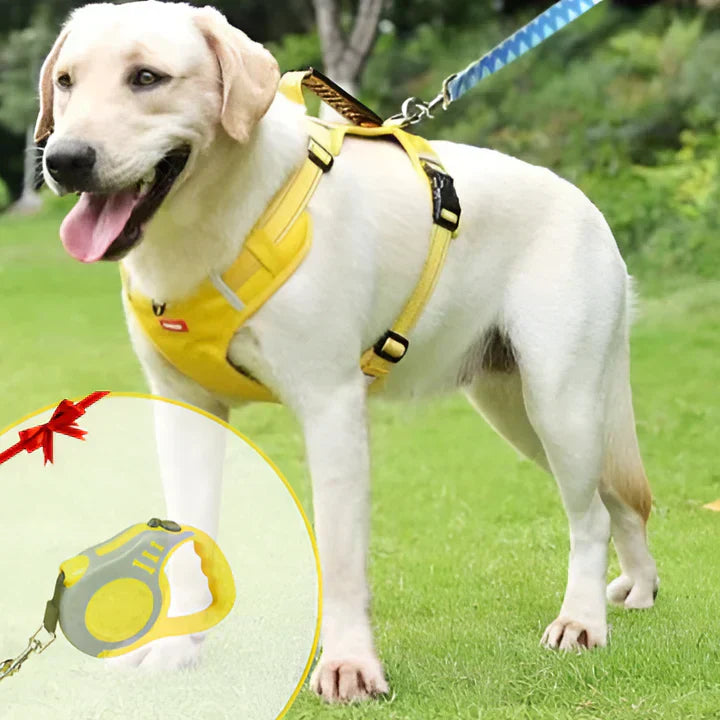 VierraSol | Arnés para Perros Sin Tirones con Asa de Control Acolchada