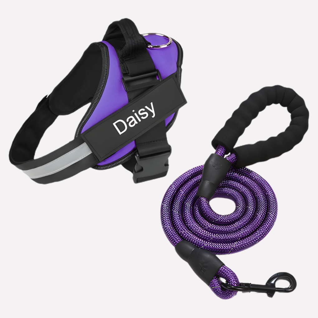 VierraSol | Arnés Personalizado para Perros Sin Tirones con Clip Frontal